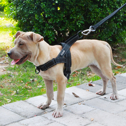No-Pull Adjustable Dog Harness & Leash Set – Comfort & Control! - Pet Bliss
