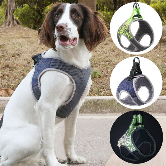 Comfort Fit No-Pull Dog Harness – Ultimate Support & Security! - Pet Bliss