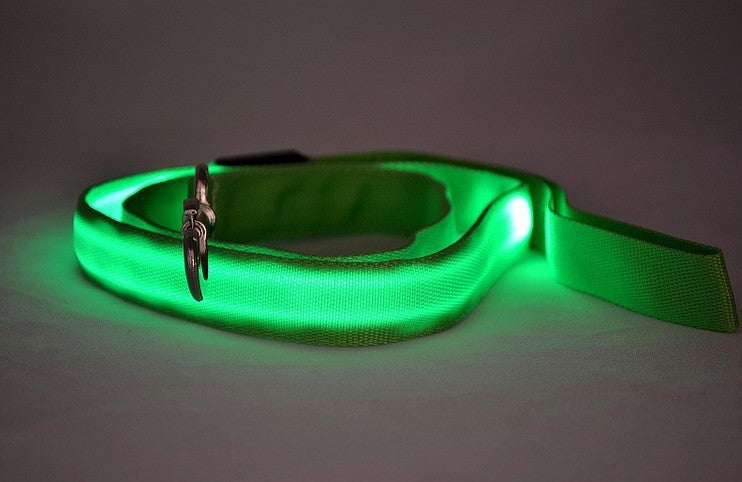 LED Light-Up Dog Leash – Safety & Style for Night Walks! - Pet Bliss