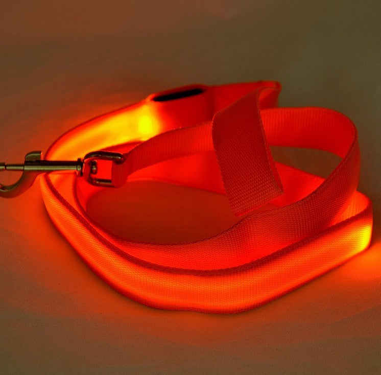 LED Light-Up Dog Leash – Safety & Style for Night Walks! - Pet Bliss