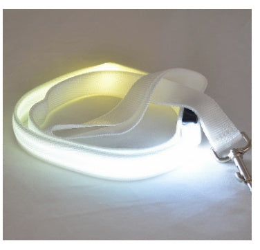 LED Light-Up Dog Leash – Safety & Style for Night Walks! - Pet Bliss