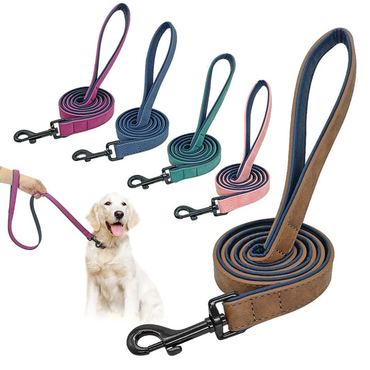 Soft Touch Dog Leash – Strong, Stylish, and Super Comfortable - Pet Bliss