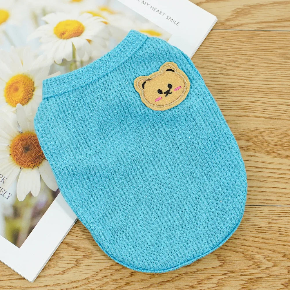 ColorPop Teddy Dog Tee – Soft, Sweet & Full of Personality - Pet Bliss