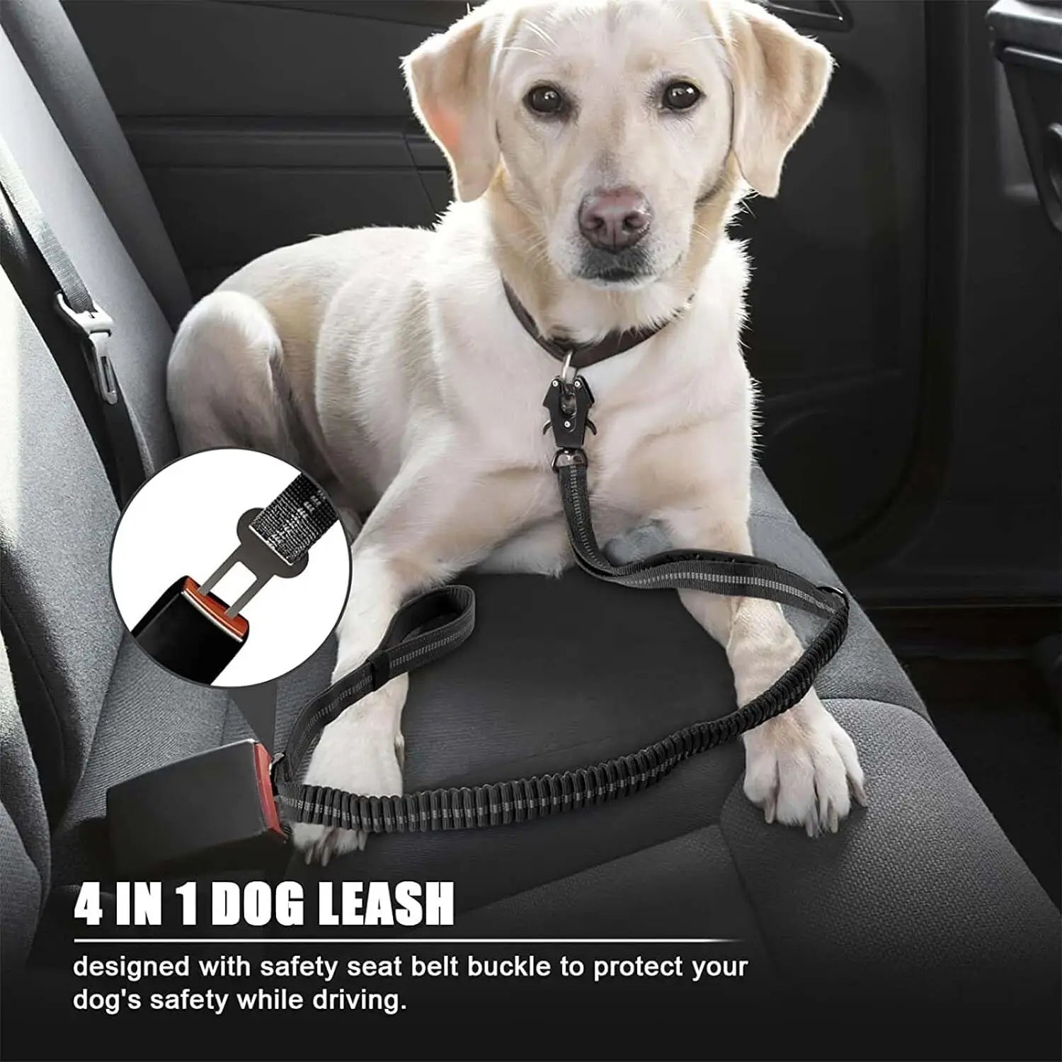 Shock-Absorbing Bungee Dog Leash – Strength Meets Comfort - Pet Bliss