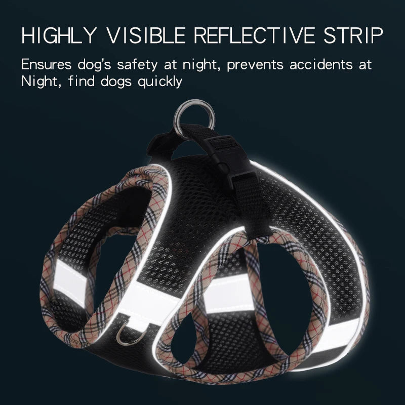 Breathable Mesh Pet Harness – Safe & Stylish Walks for Your Furry Companion! - Pet Bliss