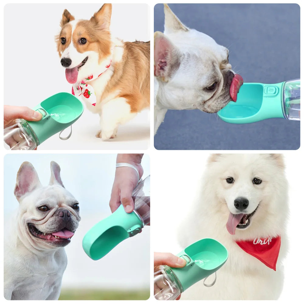 Portable One-Touch Pet Water Bottle – Hydration On-the-Go! - Pet Bliss