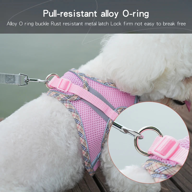 Breathable Mesh Pet Harness – Safe & Stylish Walks for Your Furry Companion! - Pet Bliss