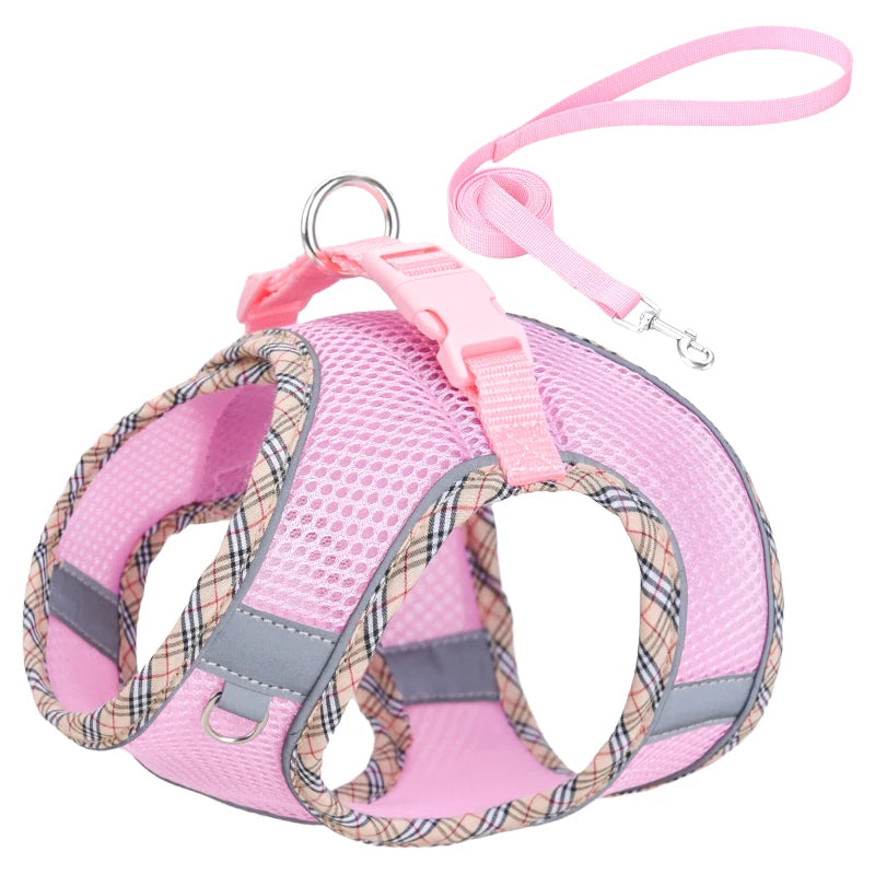 Breathable Mesh Pet Harness – Safe & Stylish Walks for Your Furry Companion! - Pet Bliss