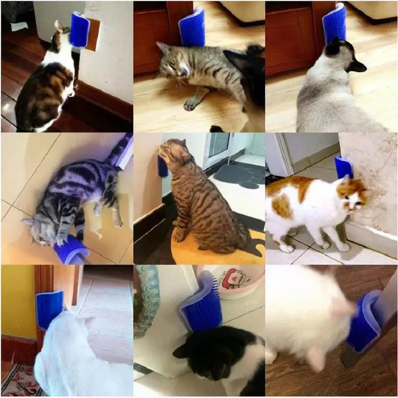 Cat Self-Grooming Corner – The Purr-fect Scratch & Massage Combo! - Pet Bliss