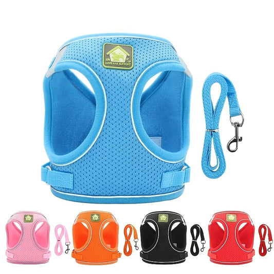 Air Mesh Pet Harness & Leash Set – Cool, Comfy, and Under Control - Pet Bliss