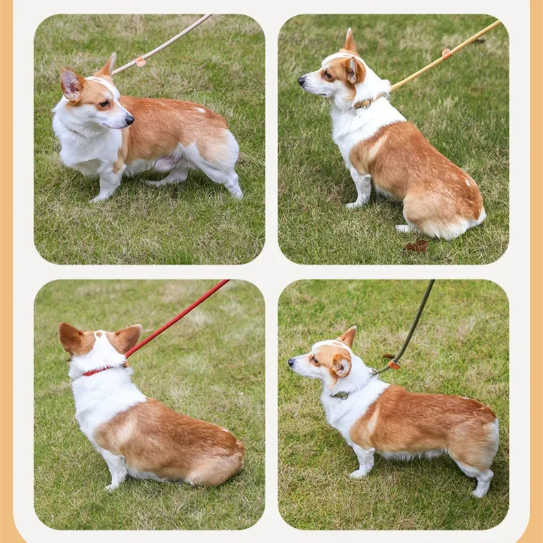 Adjustable Slip Dog Leash – Simple, Secure & Tangle-Free - Pet Bliss