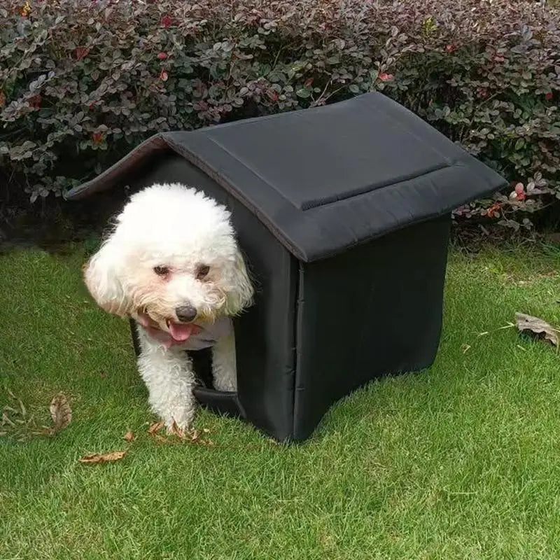 🏡 Cozy & Weatherproof Pet House – Ultimate Shelter for Cats & Small Dogs! 🐶🐱 - Pet Bliss