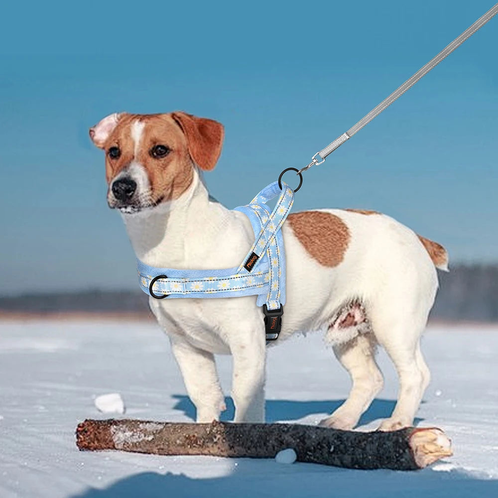 Daisy Padded Harness – Bloom with Every Walk 🌼 - Pet Bliss
