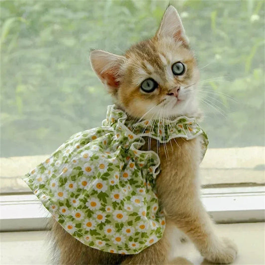 Floral Princess Dresses for Pets – Because every kitty deserves to bloom! 🌼 - Pet Bliss