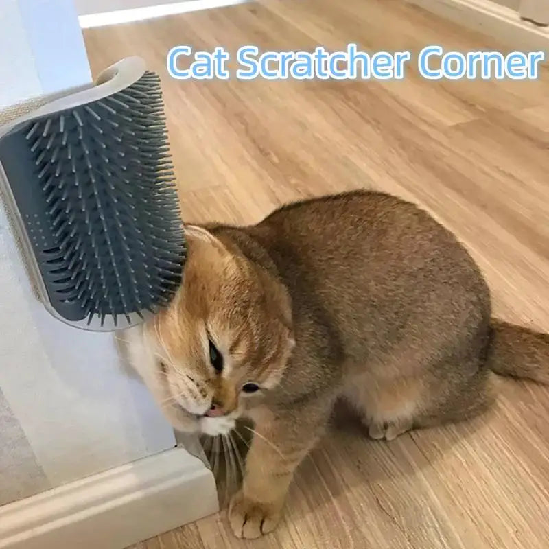 Cat Self-Grooming Corner – The Purr-fect Scratch & Massage Combo! - Pet Bliss