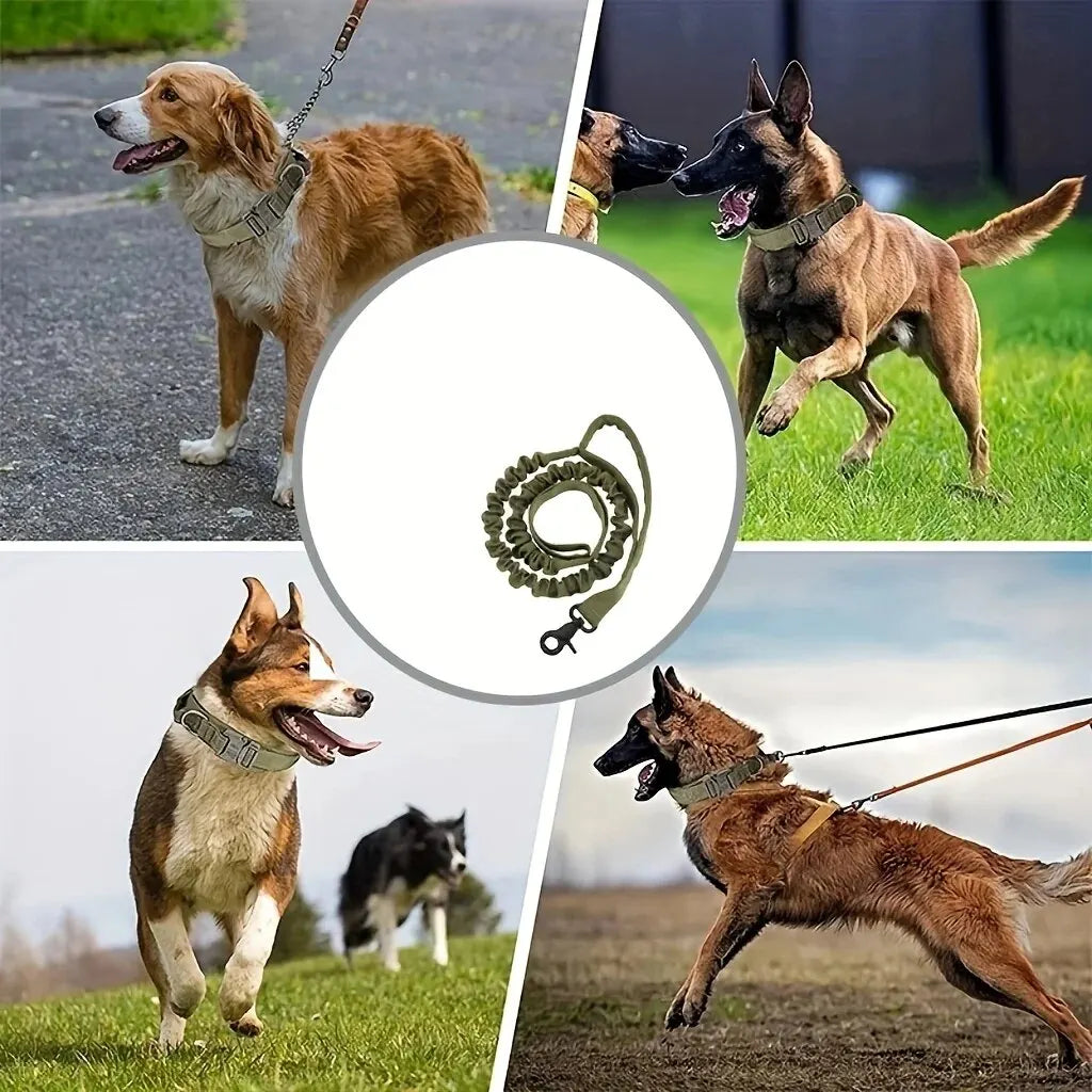 Tactical Bungee Dog Leash – Strong, Stretchy, and Built for Action - Pet Bliss