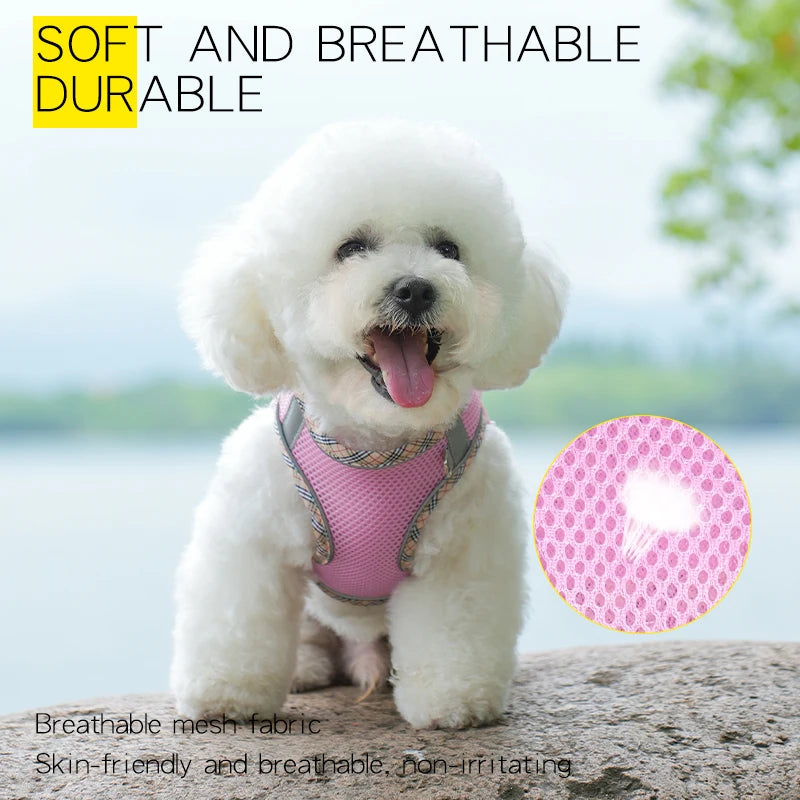 Breathable Mesh Pet Harness – Safe & Stylish Walks for Your Furry Companion! - Pet Bliss