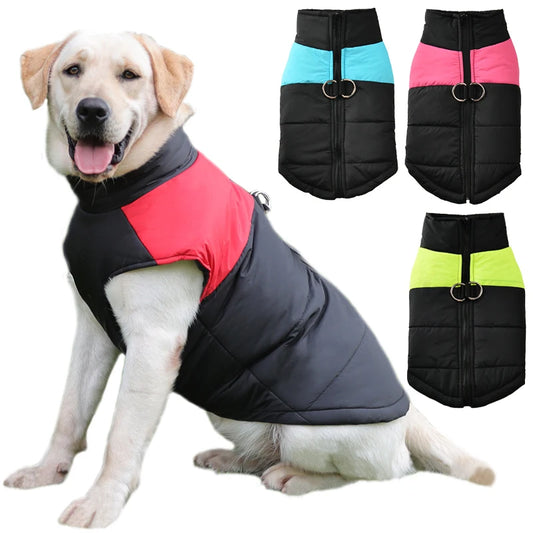 Color-Block Waterproof Dog Jacket – Bold Looks, Warm Walks - Pet Bliss