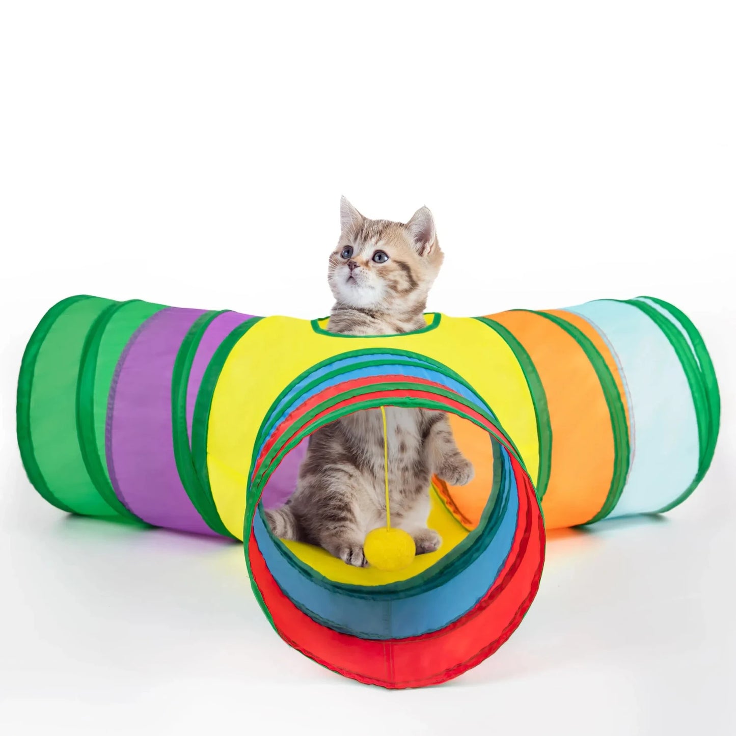 Rainbow Cat Tunnel – Bold Colors, Big Fun 🌈 - Pet Bliss