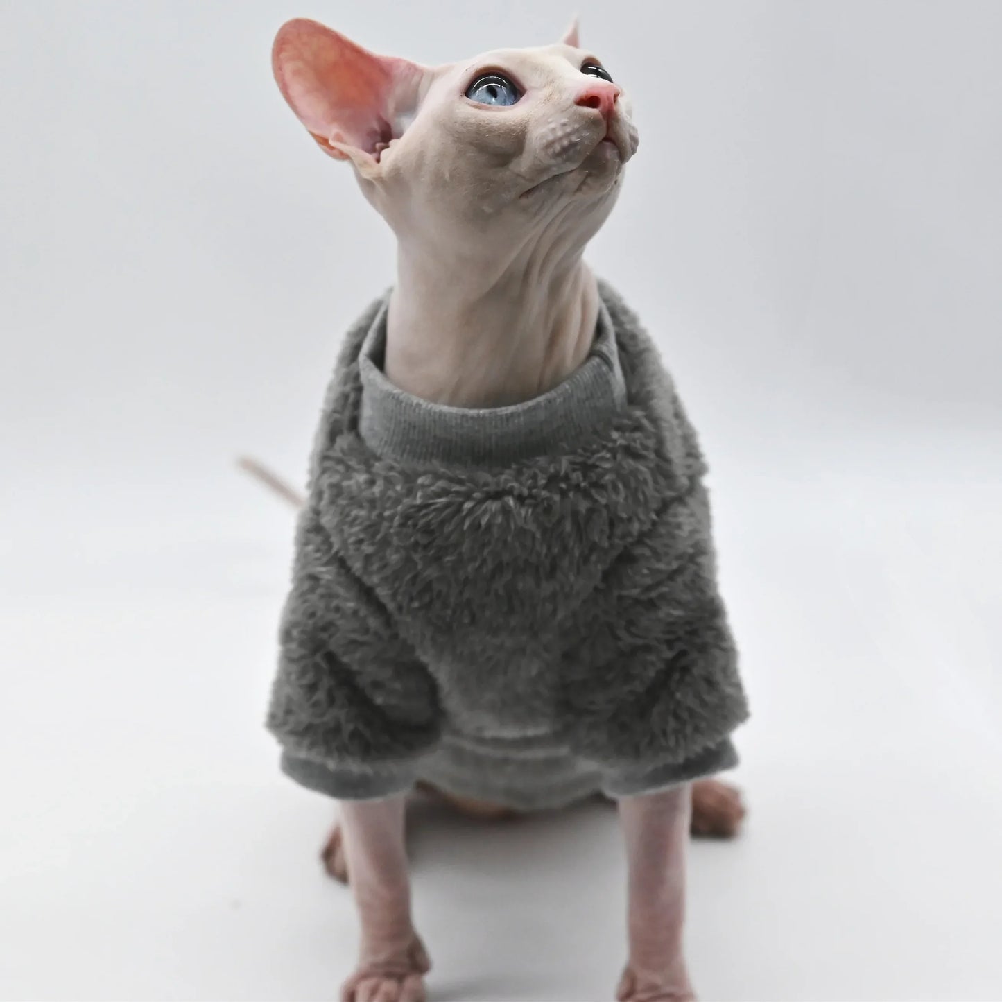 Cozy Fleece Sweater for Cats – Soft & Warm Winter Pet Clothing - Pet Bliss