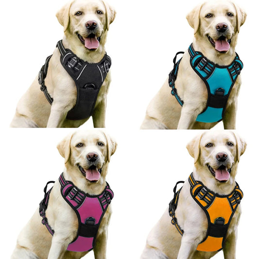 Comfort-Fit Dog Harness – Control Meets Comfort - Pet Bliss