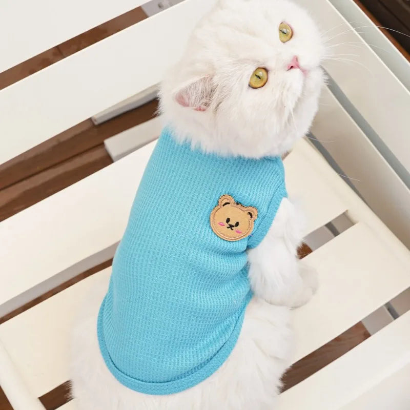 ColorPop Teddy Dog Tee – Soft, Sweet & Full of Personality - Pet Bliss