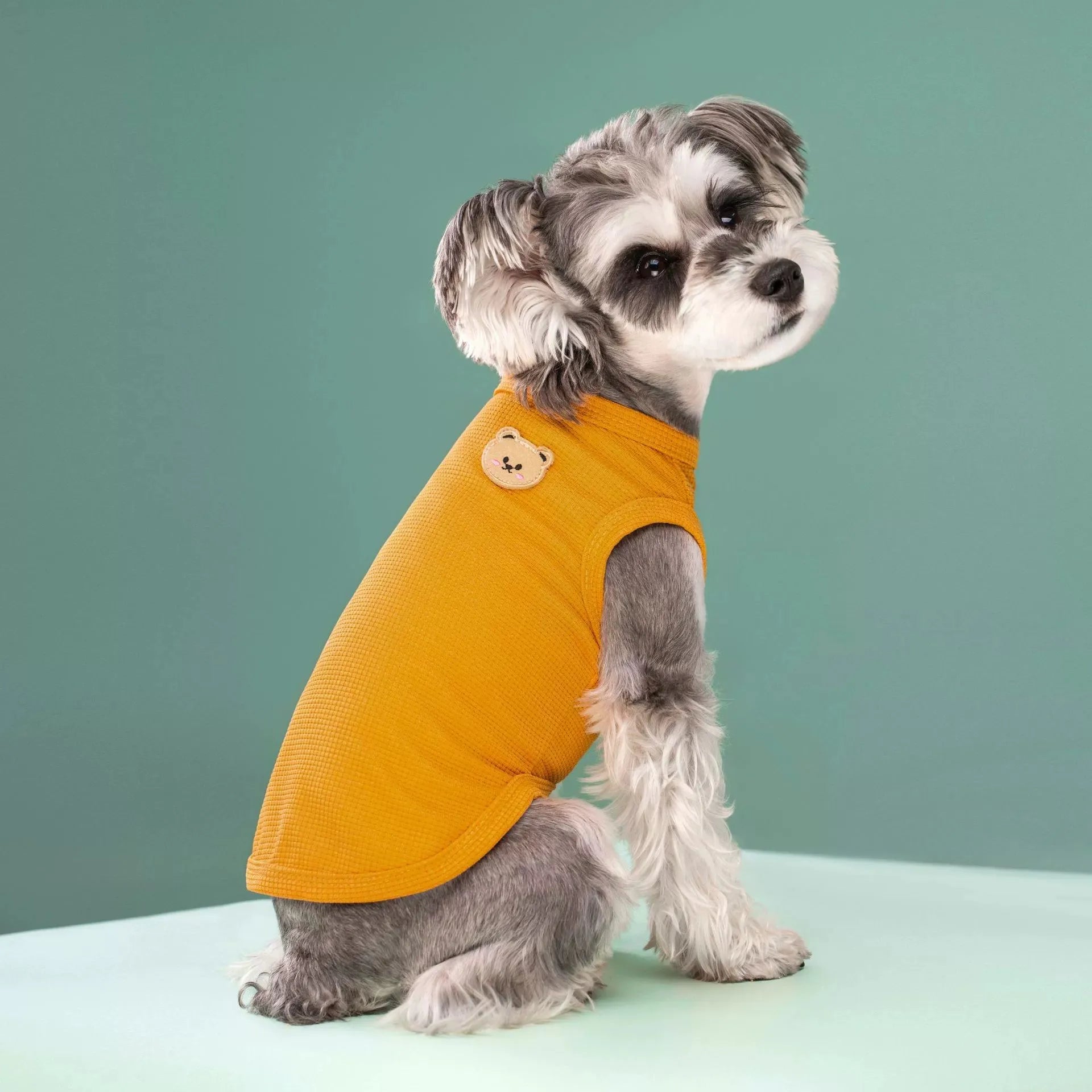 ColorPop Teddy Dog Tee – Soft, Sweet & Full of Personality - Pet Bliss