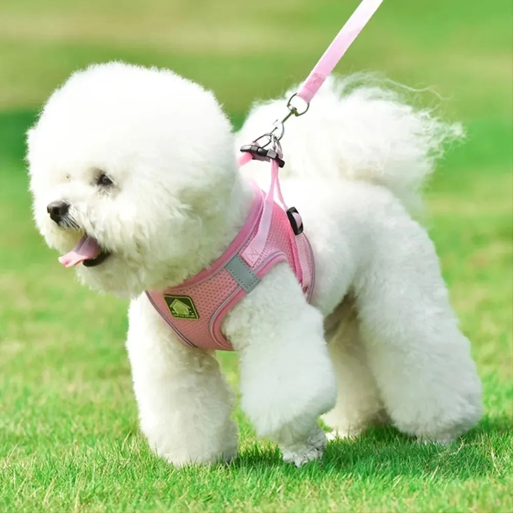 Air Mesh Pet Harness & Leash Set – Cool, Comfy, and Under Control - Pet Bliss