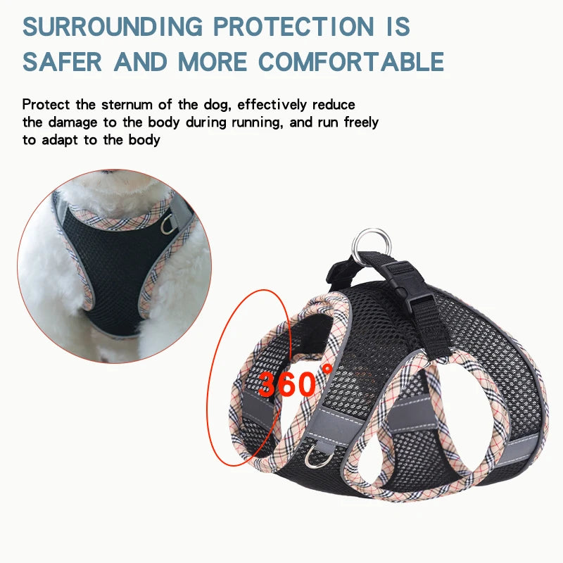 Breathable Mesh Pet Harness – Safe & Stylish Walks for Your Furry Companion! - Pet Bliss