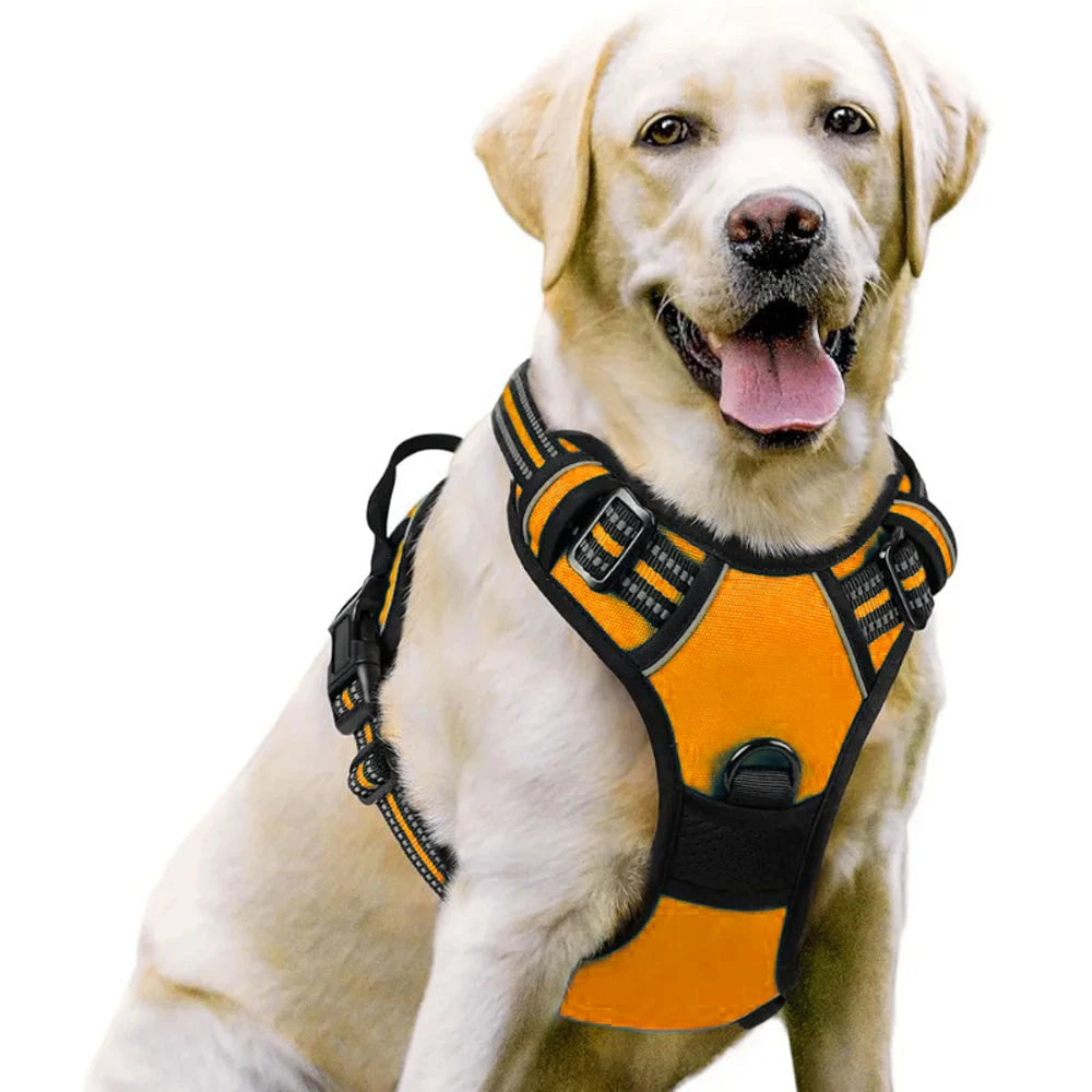 Comfort-Fit Dog Harness – Control Meets Comfort - Pet Bliss