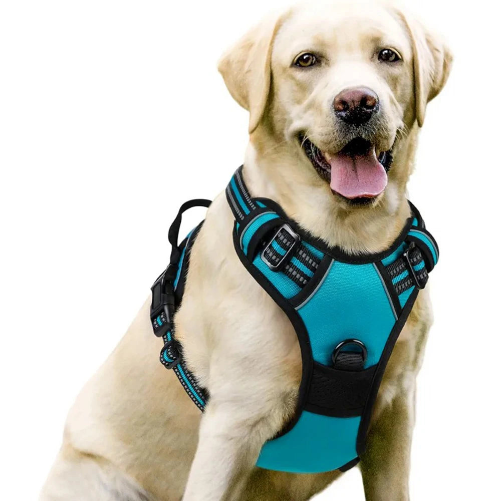 Comfort-Fit Dog Harness – Control Meets Comfort - Pet Bliss