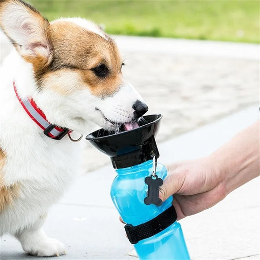 On-the-Go Pet Water Bottle 🐾 - Pet Bliss