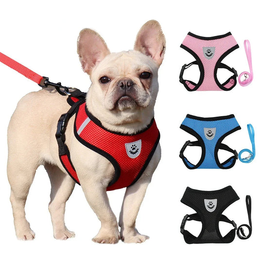 Everyday Mesh Harness Set – Easy, Breezy, Walk-Ready - Pet Bliss