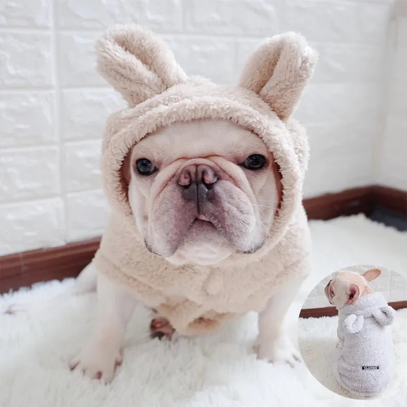 Bunny Ear Dog Sweater – Cozy & Adorable Winter Wear for Your Pup! - Pet Bliss