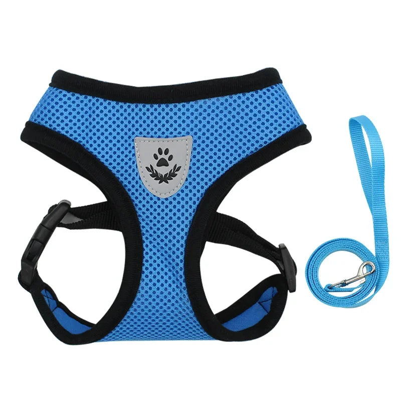 Everyday Mesh Harness Set – Easy, Breezy, Walk-Ready - Pet Bliss
