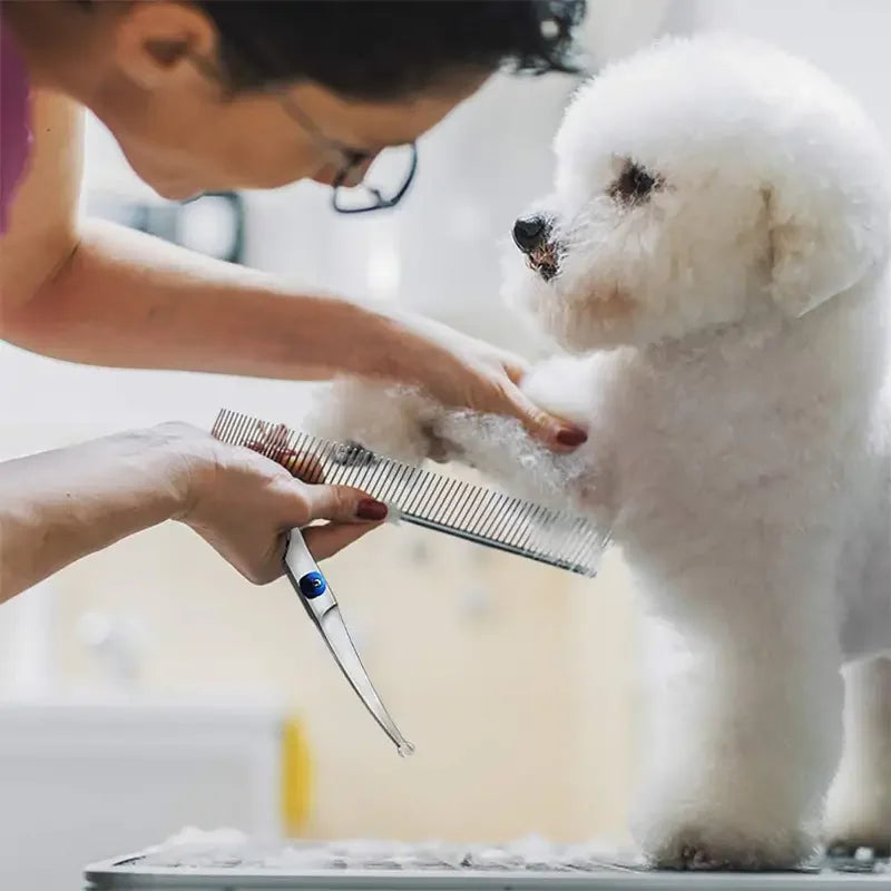 7-Inch Curved Pet Grooming Scissors – Professional & Safe Trimming - Pet Bliss