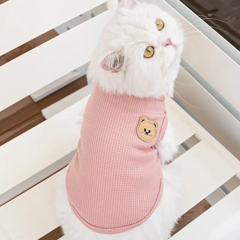 ColorPop Teddy Dog Tee – Soft, Sweet & Full of Personality - Pet Bliss