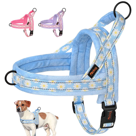 Daisy Padded Harness – Bloom with Every Walk 🌼 - Pet Bliss
