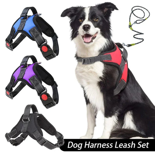 No-Pull Adjustable Dog Harness with Leash – Comfortable & Secure Fit for Dogs - Pet Bliss
