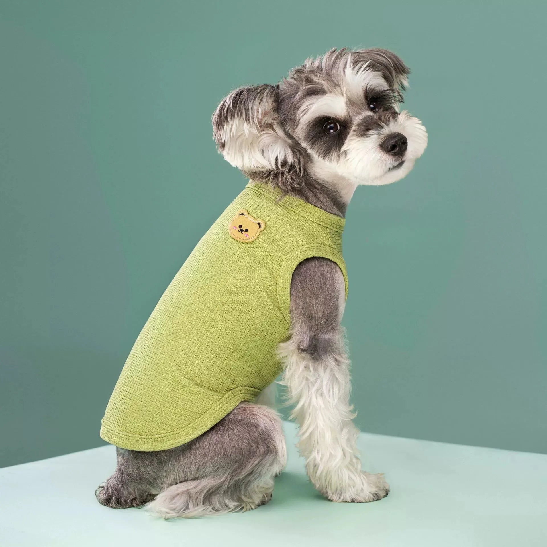 ColorPop Teddy Dog Tee – Soft, Sweet & Full of Personality - Pet Bliss