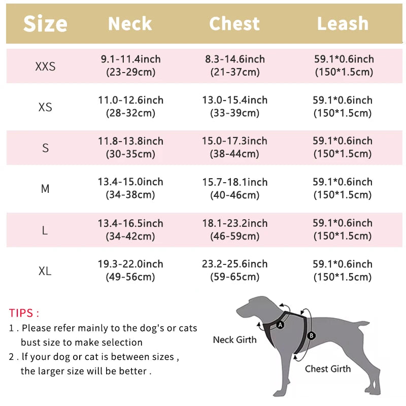 Breathable Mesh Pet Harness – Safe & Stylish Walks for Your Furry Companion! - Pet Bliss