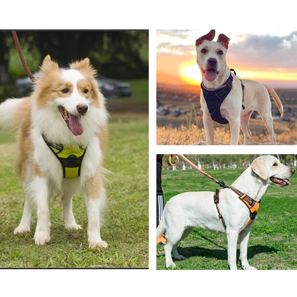 Comfort-Fit Dog Harness – Control Meets Comfort - Pet Bliss