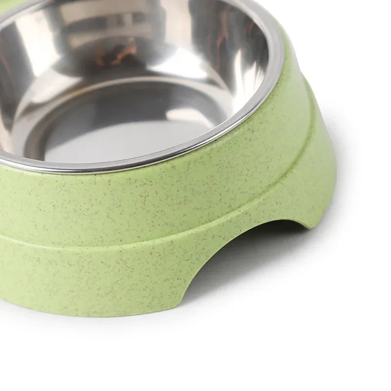 Double Stainless-Steel Pet Bowls – Mealtime Made Simple - Pet Bliss