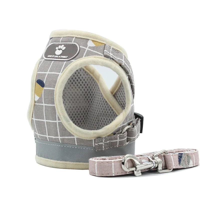 All-in-One Harness Set – Walk in Style & Comfort - Pet Bliss