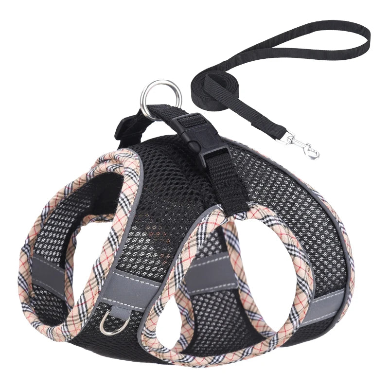Breathable Mesh Pet Harness – Safe & Stylish Walks for Your Furry Companion! - Pet Bliss