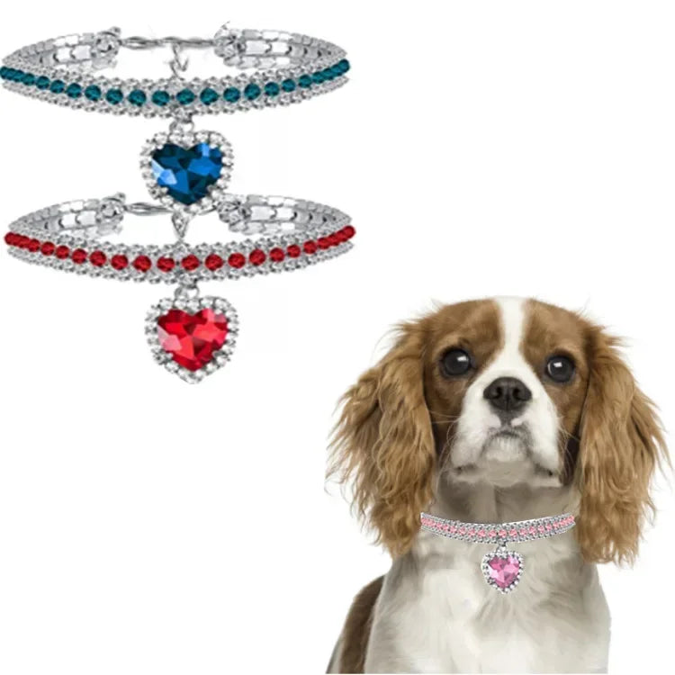 Sparkling Cat Collar – Glamour for Your Furry Friend - Pet Bliss