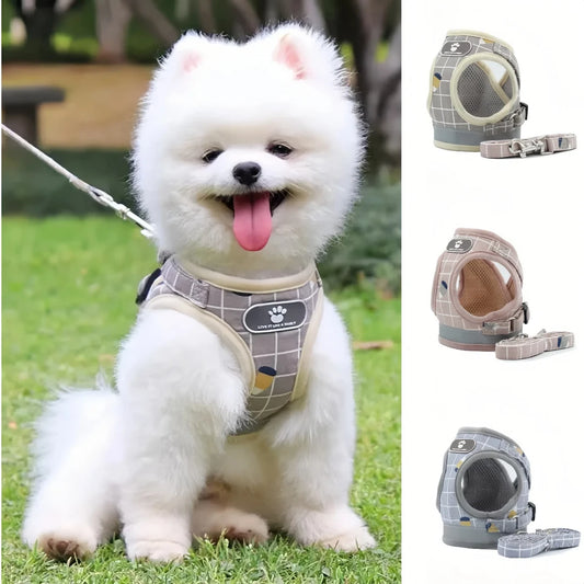All-in-One Harness Set – Walk in Style & Comfort - Pet Bliss