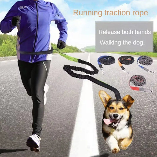 Hands-Free Running Leash – Run, Walk, Play, Repeat - Pet Bliss