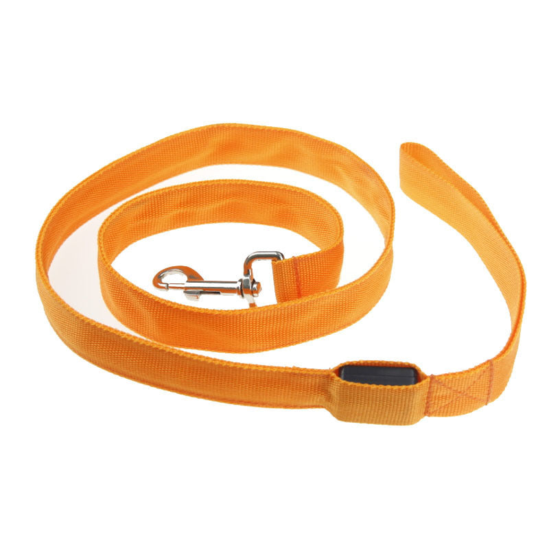 LED Light-Up Dog Leash – Safety & Style for Night Walks! - Pet Bliss