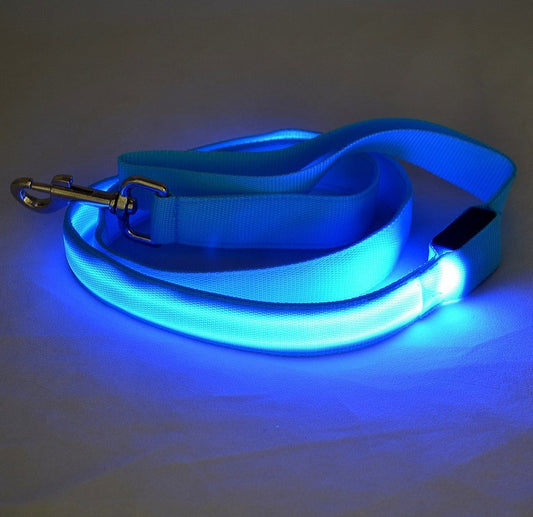 LED Light-Up Dog Leash – Safety & Style for Night Walks! - Pet Bliss